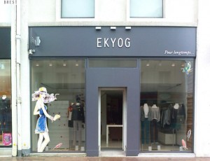 Ekyog the windows