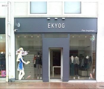 Ekyog the windows